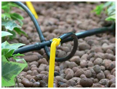 Aquadusia automatic micro-drip irrigation system for greenhouses