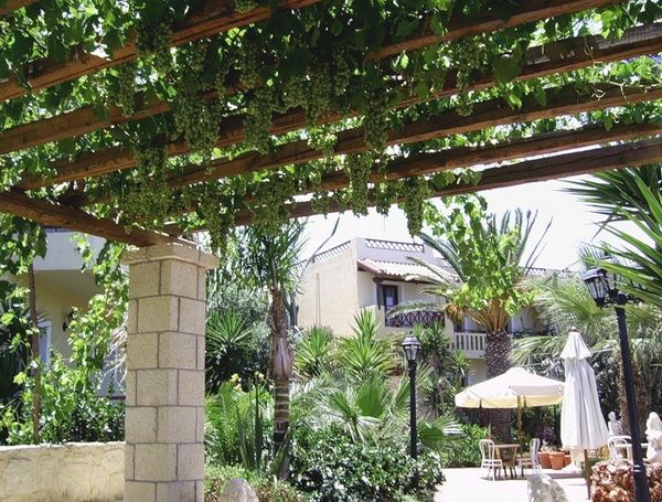 Arbor for grapes: how to make a metal frame and tighten it with a vine, a choice of non-covering bush varieties