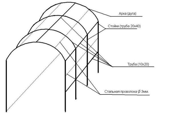 Arbor for grapes: how to make a metal frame and tighten it with a vine, a choice of non-covering bush varieties