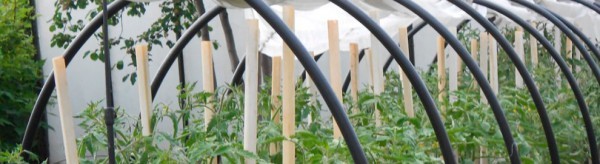 Arcs for a greenhouse: how to do it yourself quickly and efficiently