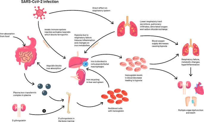 Are people with anemia at risk of coronavirus?