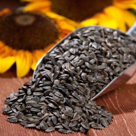 Are roasted sunflower seeds healthy?