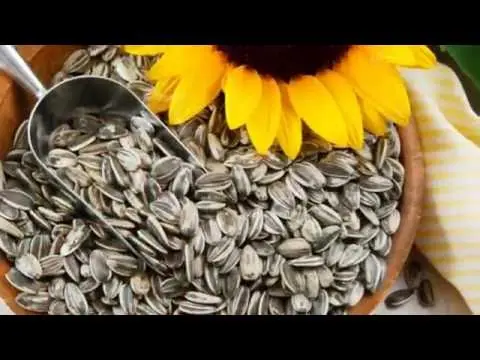 Are roasted sunflower seeds healthy?