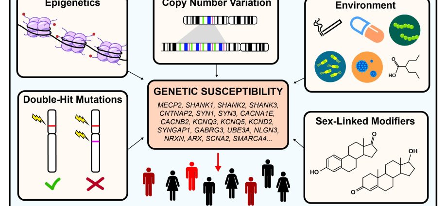 Are the genetic mutations responsible for autism known?