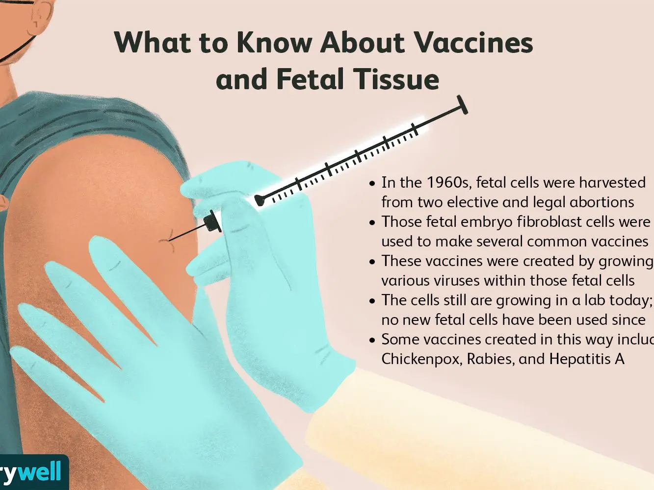 Are vaccines produced from aborted fetuses?