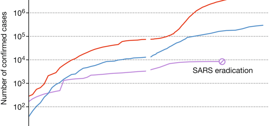 Are we after the peak of the summer wave? New data on COVID-19 infections