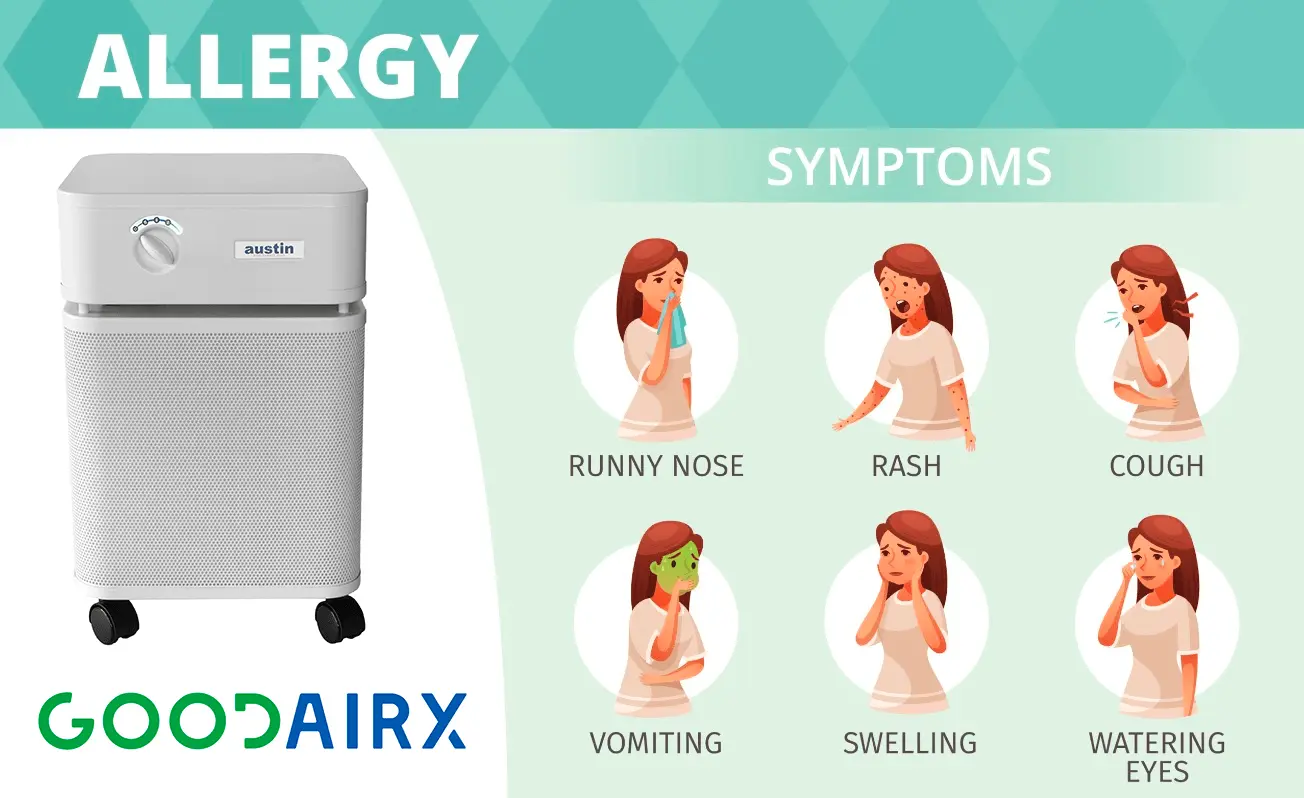 Are you allergic? You can alleviate the symptoms of allergies by purifying the air in your home