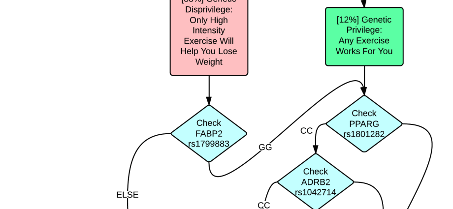 Are you losing weight? Do you train How to choose the right diet? You have it in your genes