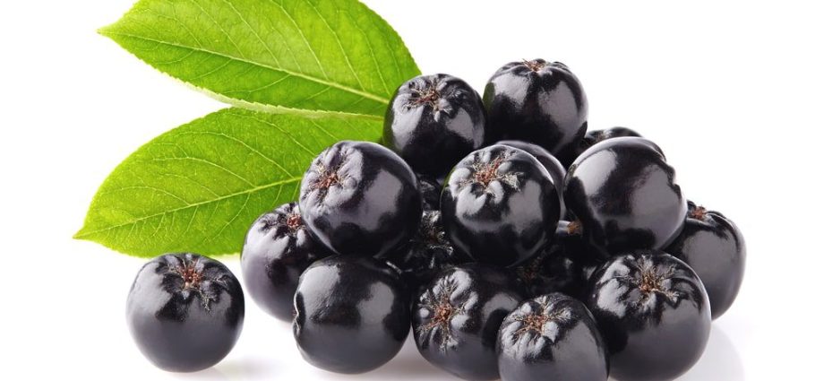 Aronia juice &#8211; properties, dosage, price. Aronia tincture