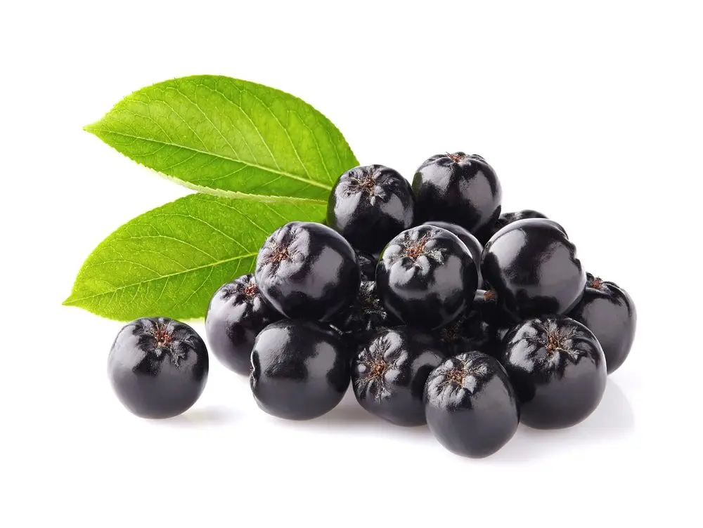 Aronia juice &#8211; properties, dosage, price. Aronia tincture