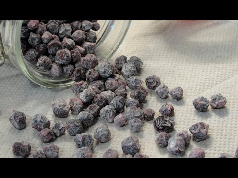 Aronia raisins