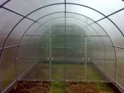 Arrangement of a polycarbonate greenhouse inside + photo