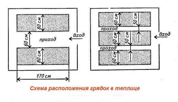 Arrangement of a polycarbonate greenhouse inside + photo