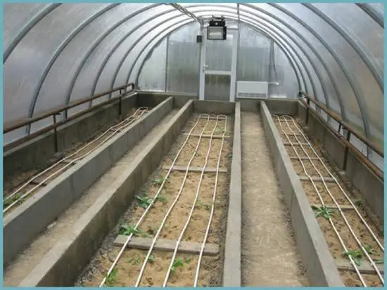 Arrangement of a polycarbonate greenhouse inside + photo