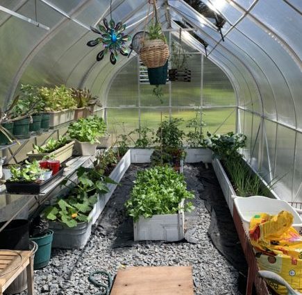 Arrangement of a polycarbonate greenhouse inside + photo