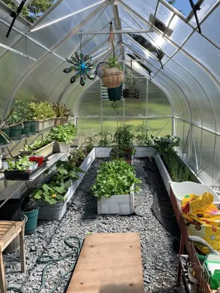 Arrangement of a polycarbonate greenhouse inside + photo