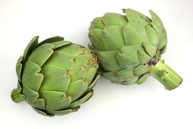 Artichoke: useful properties and contraindications