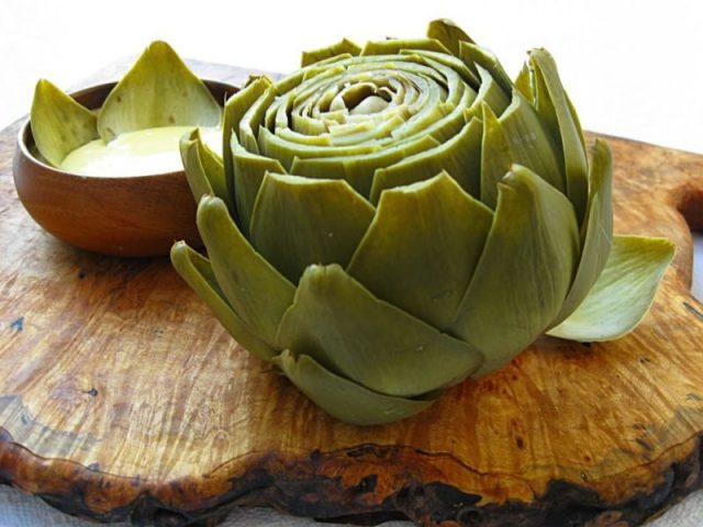 Artichoke: useful properties and contraindications