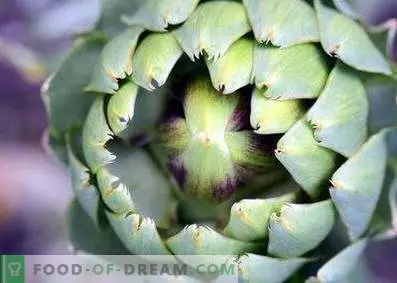 Artichoke: useful properties and contraindications