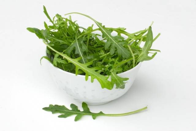 Arugula: the best varieties