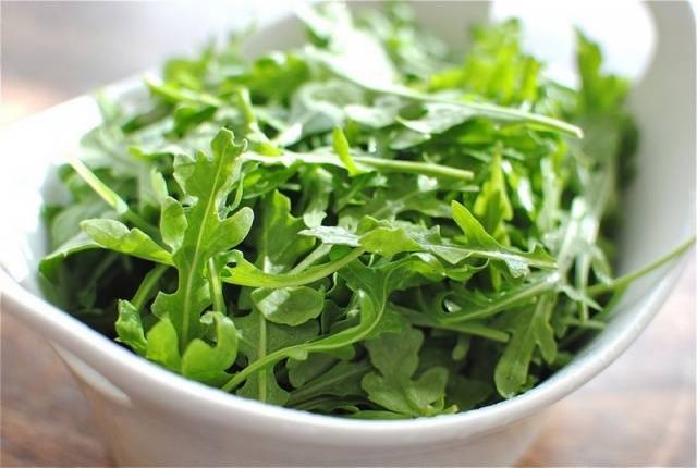 Arugula: the best varieties