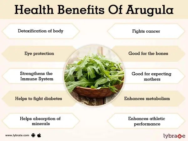 Arugula &#8211; why is it worth eating? Properties of fresh arugula