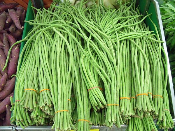 Asparagus beans: cultivation and care in the open field