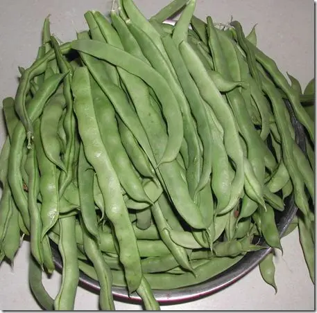 Asparagus beans Fantasy