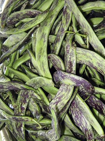 Asparagus beans Turkish