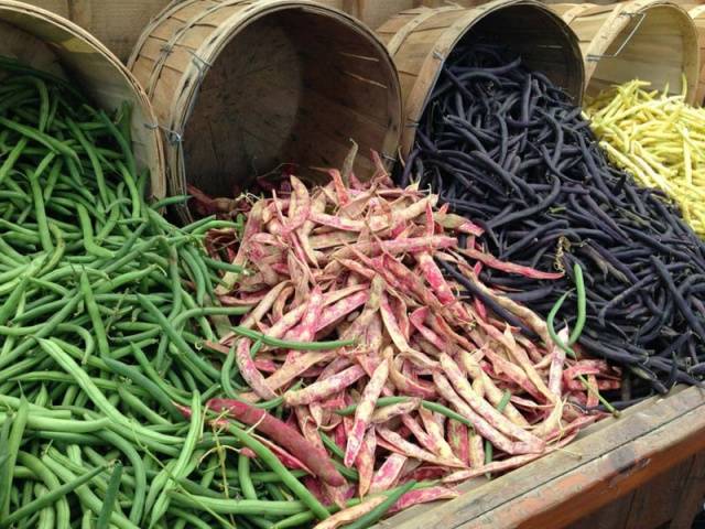 Asparagus beans Turkish