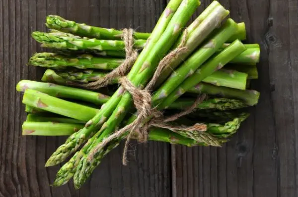 Asparagus: growing and caring for a crop in the open field