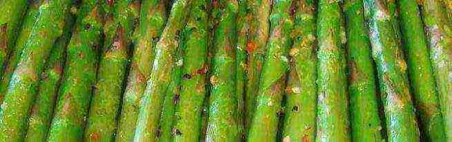 Asparagus: how to grow in the country, planting and care