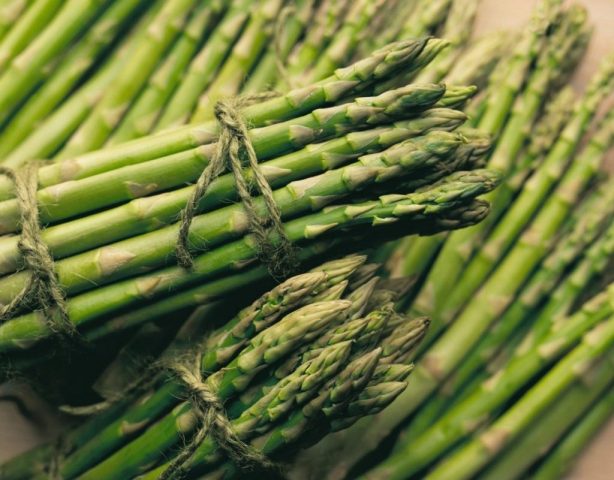 Asparagus: what is it, photos of asparagus, types and varieties