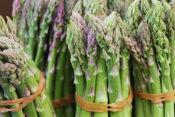 Asparagus: what is it, photos of asparagus, types and varieties