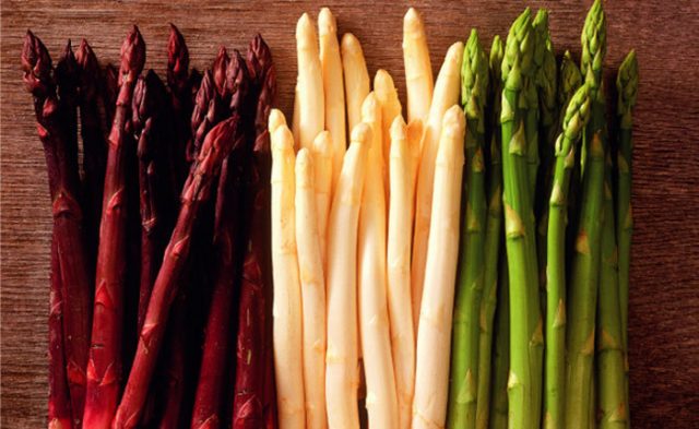 Asparagus: what is it, photos of asparagus, types and varieties