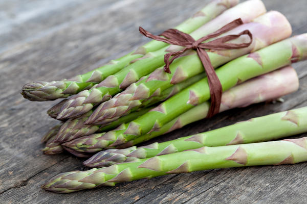 Asparagus: what is it, photos of asparagus, types and varieties