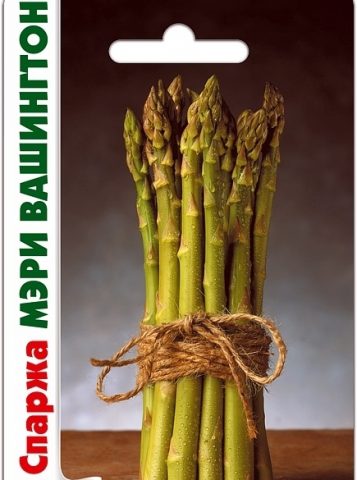 Asparagus: what is it, photos of asparagus, types and varieties