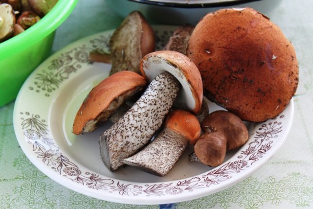 Aspen mushrooms: how much to fry, cooking recipes