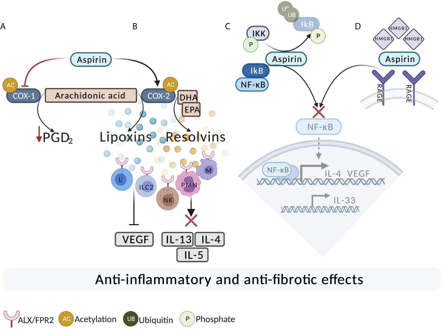 Aspirin asthma &#8211; forms, diagnosis, treatment, diet