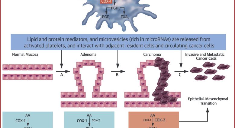 Aspirin supports the action of the anti-cancer drug