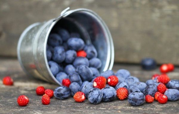 Assorted compote: how to make a drink from fresh berries or frozen fruits according to proven recipes