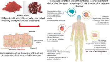 Astaxanthin &#8211; use, properties, antioxidant effect