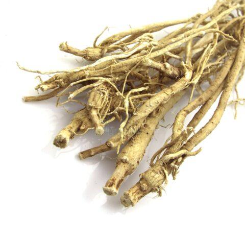 Astragalus: medicinal properties and use, contraindications