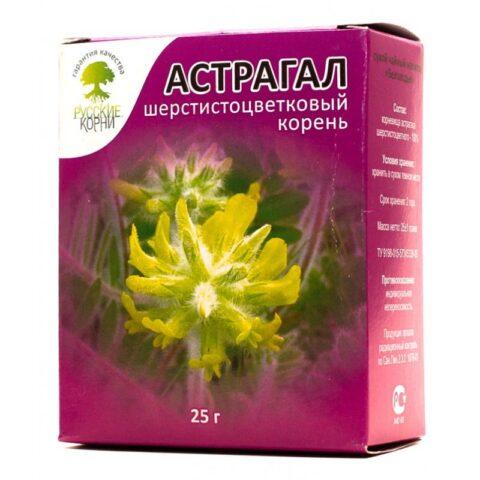 Astragalus: medicinal properties and use, contraindications