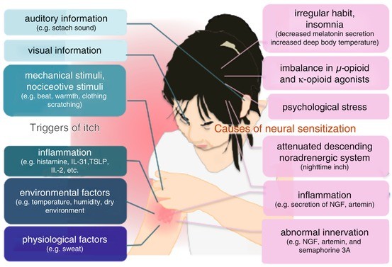 Atopic Dermatitis. What factors exacerbate AD? What should be avoided?