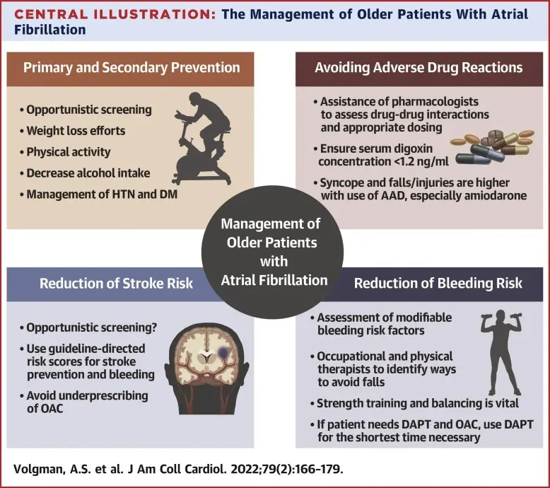 Atrial Fibrillation &#8211; How To Recognize It And Avoid A Stroke?