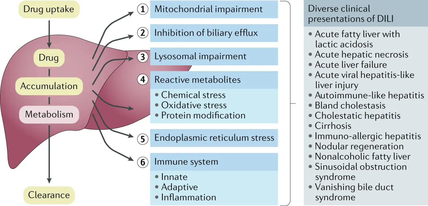 Attention! Two lots of hepatoprotective drug withdrawn from the market