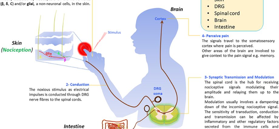 Atypical symptoms of vitamin D deficiency