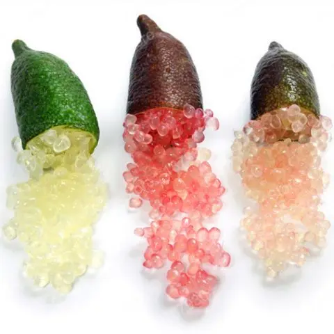 Australian finger lime