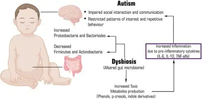 Autism can start in the gut